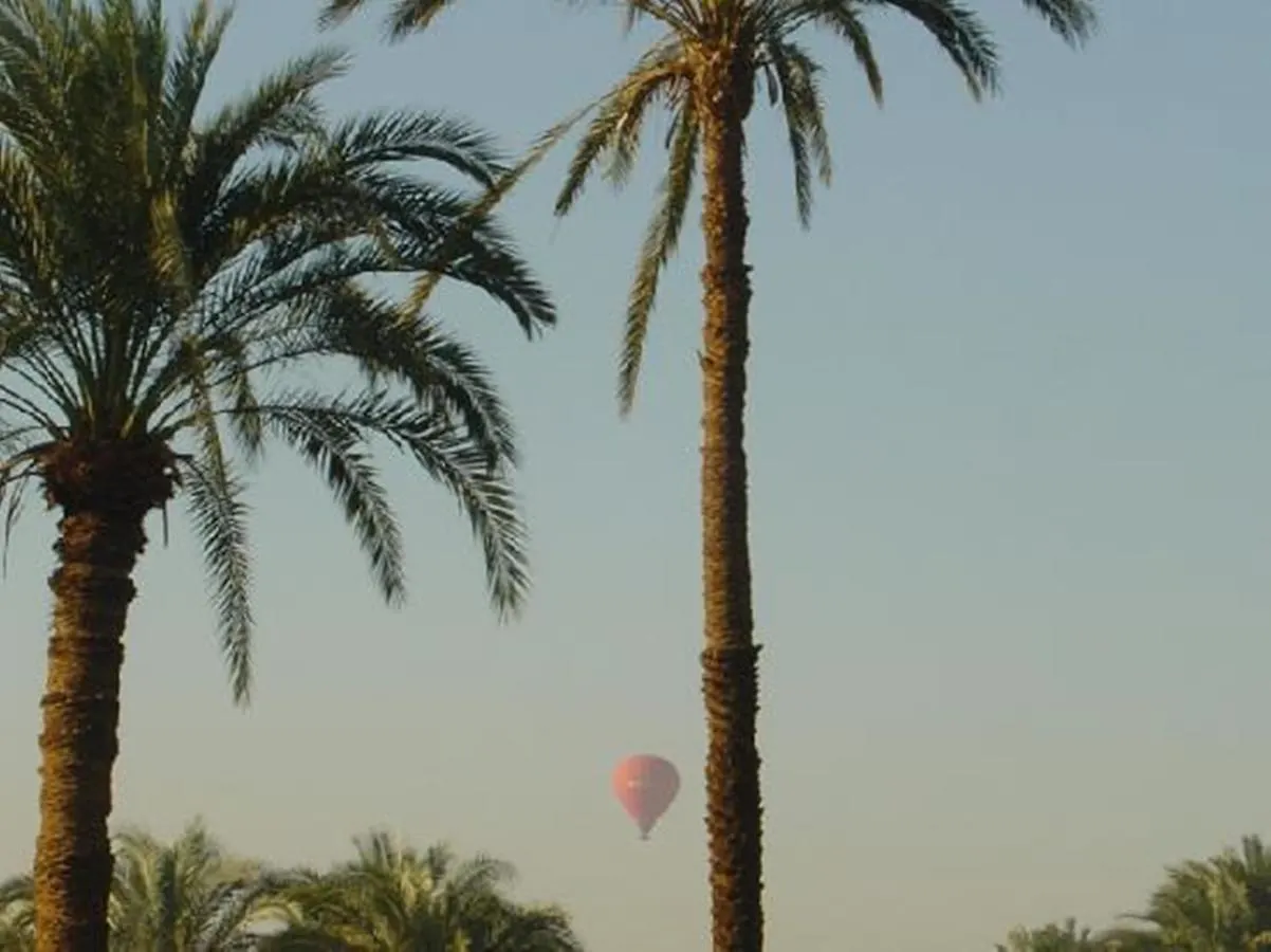 El Nakhil Hotel Luxor